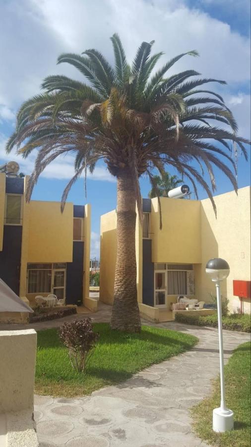 Duplex El Cortijo, Lasamericas Playa de las Americas (Tenerife) Exterior foto